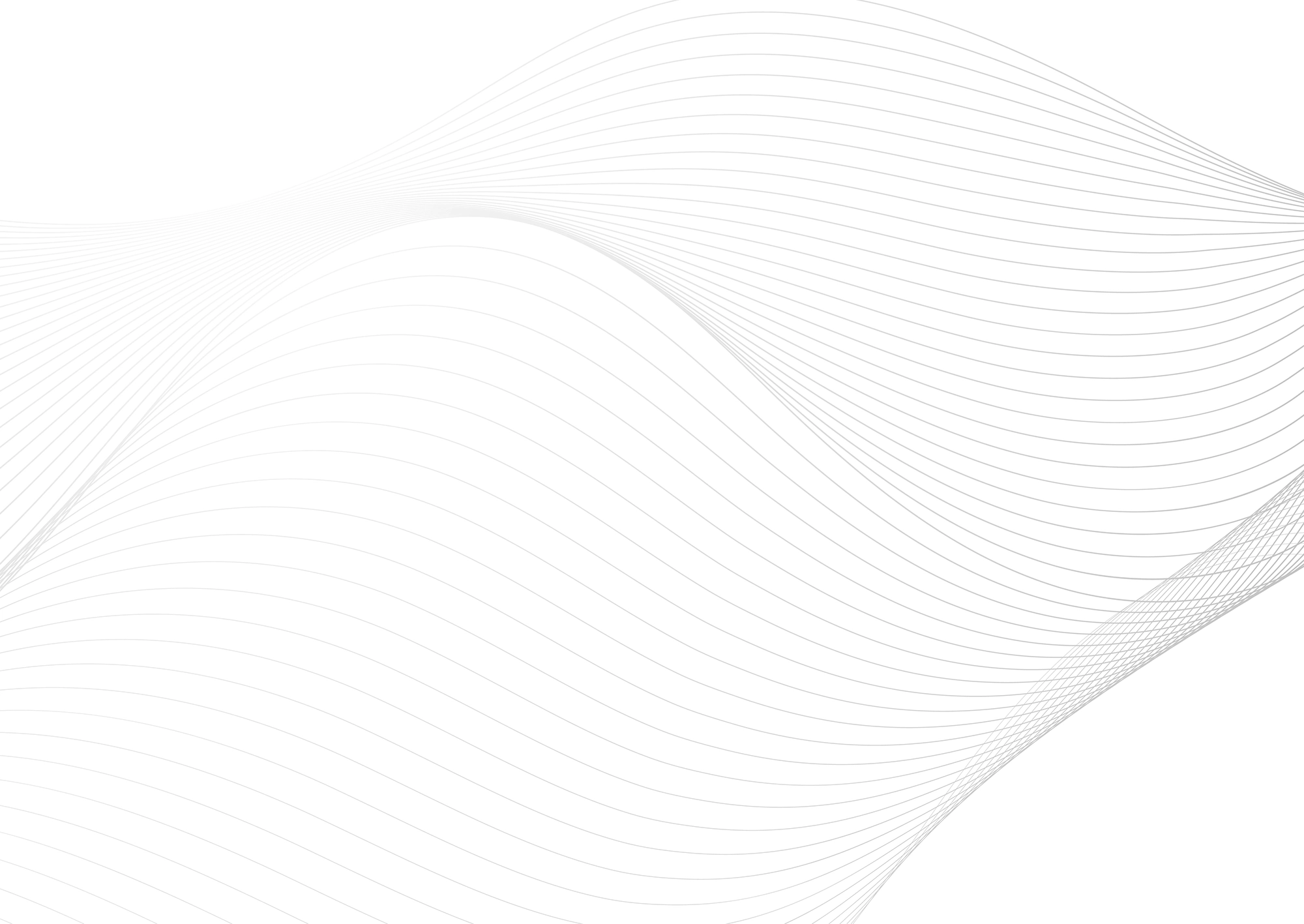 Web Site Tasarımcısı, Ayancık